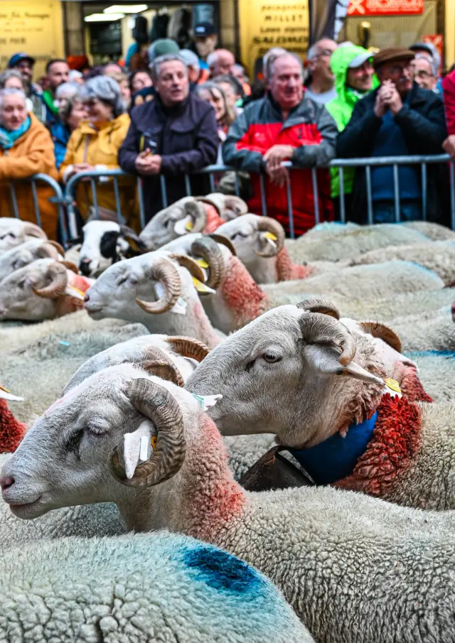 Foire aux côtelettes