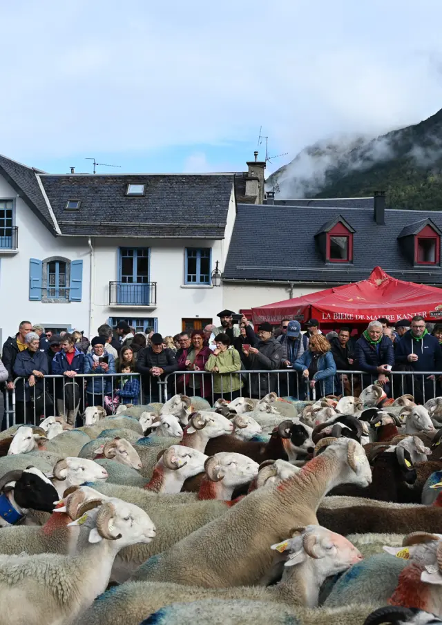 Foire aux côtelettes