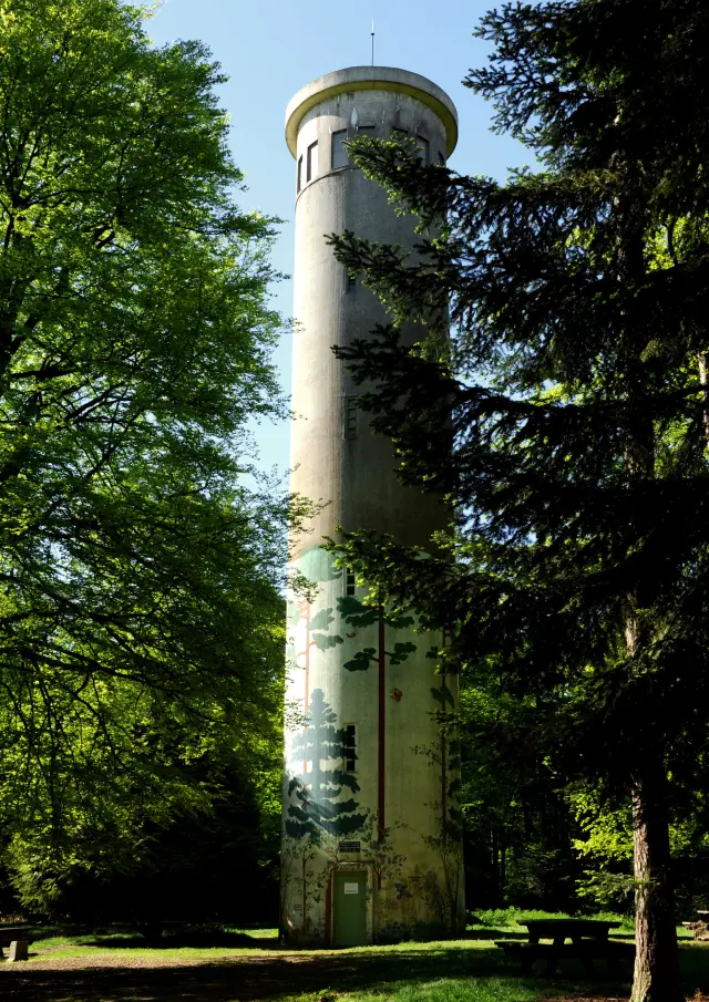 Le Belvédère de Perseigne