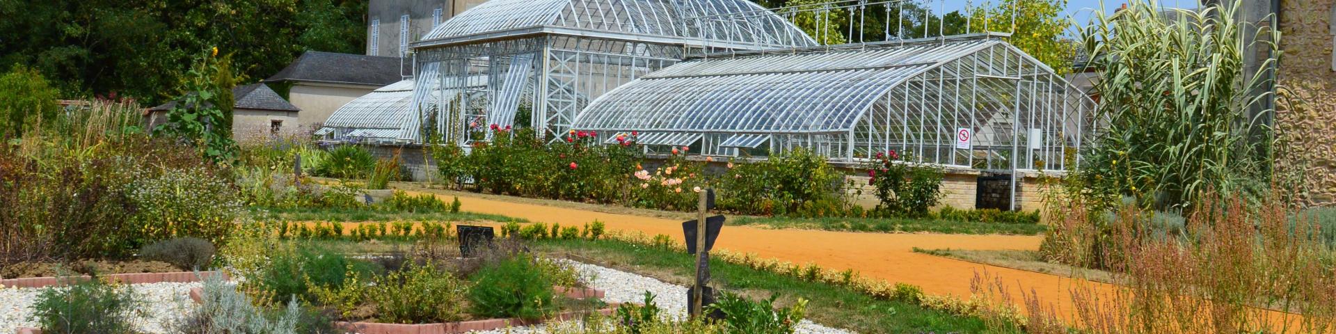 Les plantes aromatiques du Jardin Potager