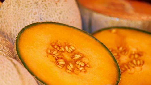 melon
