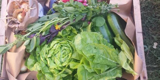 panier de la ferme