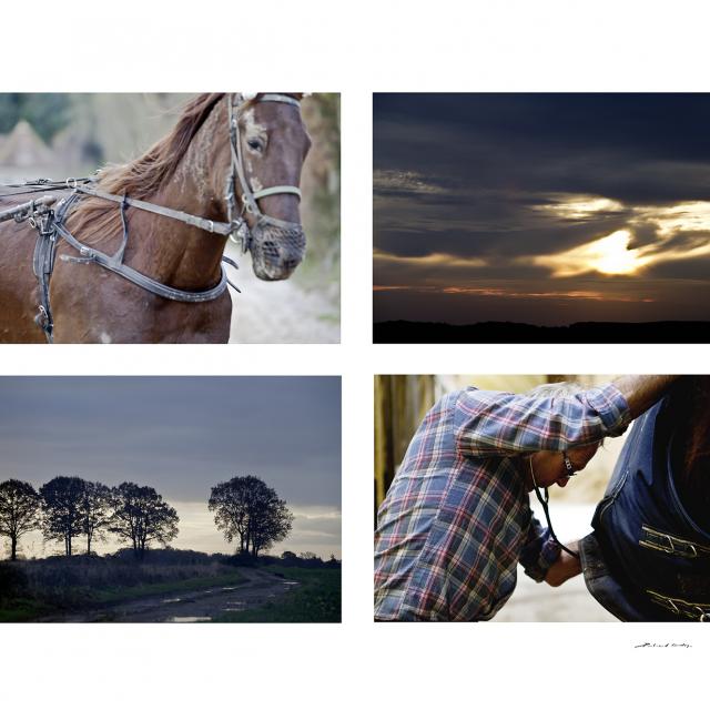 Montage photos Bertrand Cardon