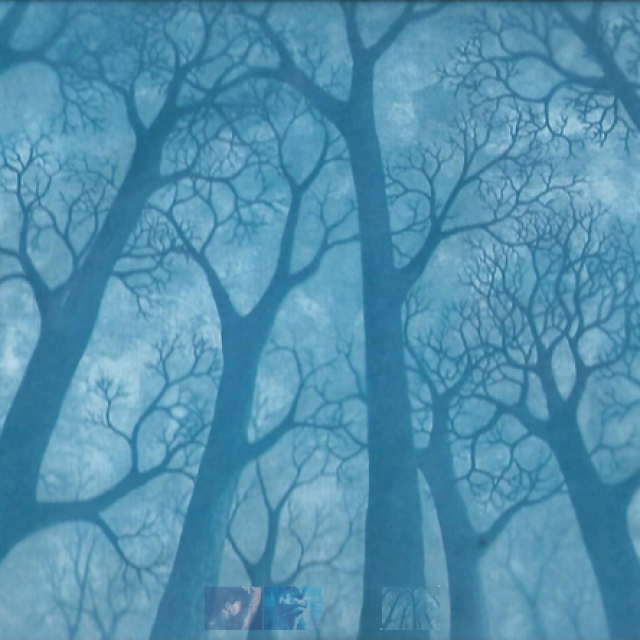 Arbre 2- élise Beignard