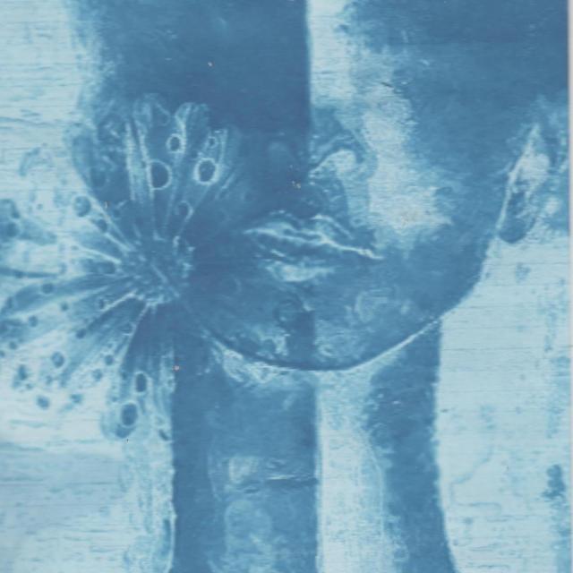 Elise Beignard