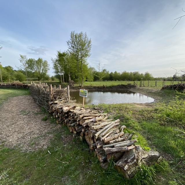 Aire Des Douves De Beaufay G Vogel 5