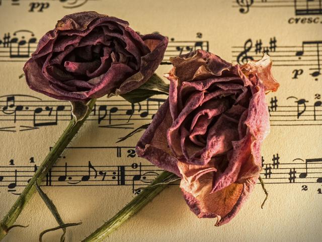 Image Concert