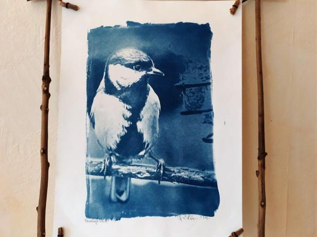 Oiseau 3 - Gérard Colin