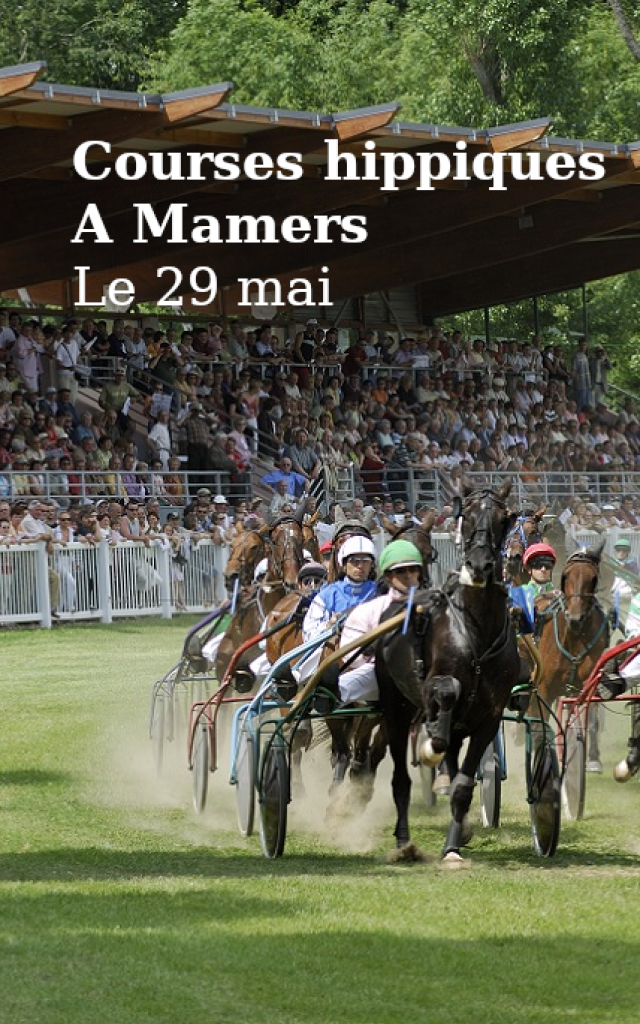 Courses Hippiques