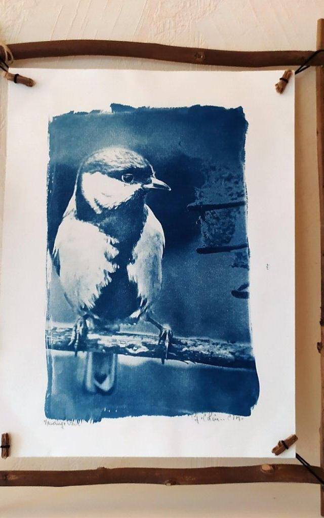 Oiseau 3