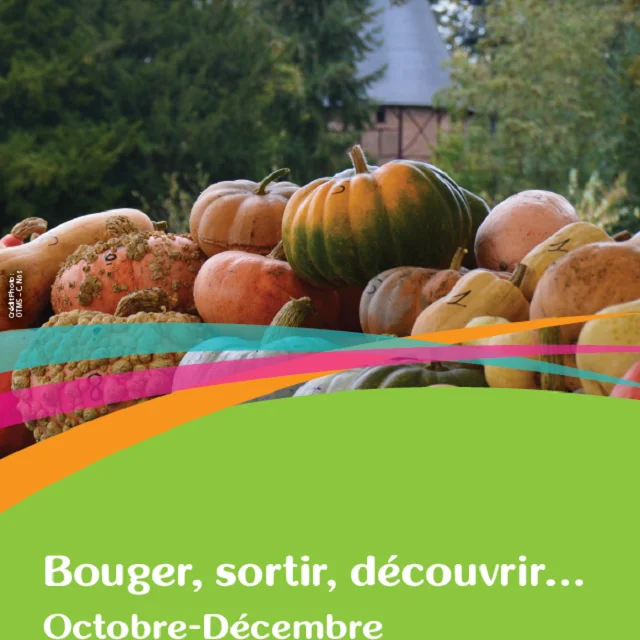 Couv 4eme Trim Bouger Sortir
