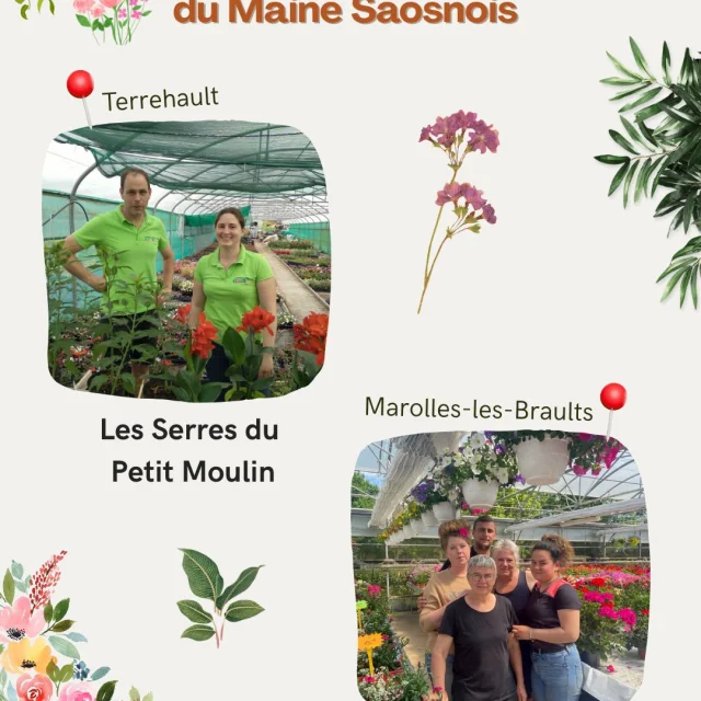 Instagram #mainesaosnois