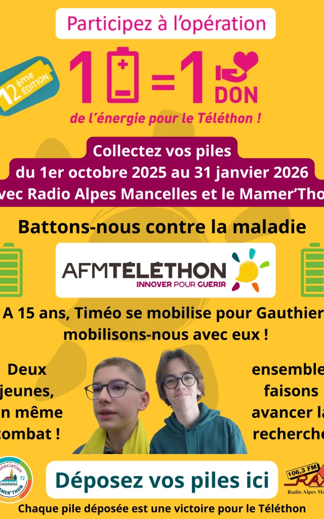 Affiche Collecte De Piles 2025