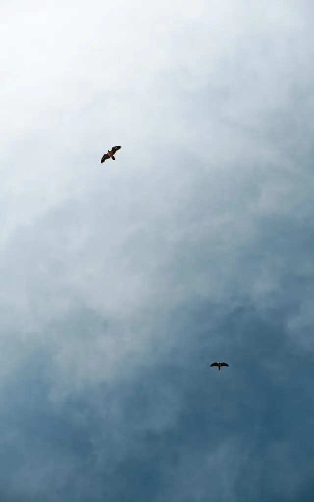 Aigles 3217 Val D Isere Tourisme Yann Allegre 1200px