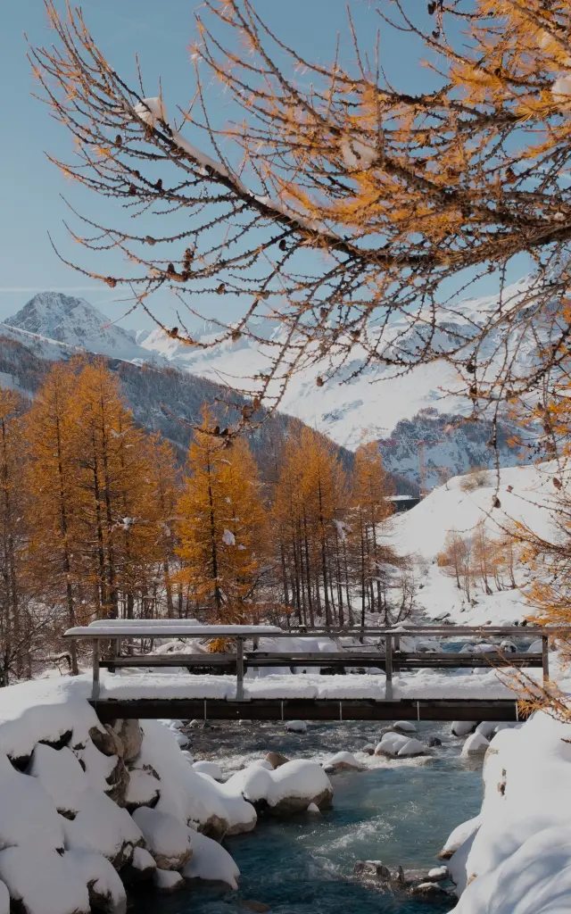 Melezes Oranges A L Automne Au Fornet 24955 Val D Isere Tourisme Elisa Vercueil