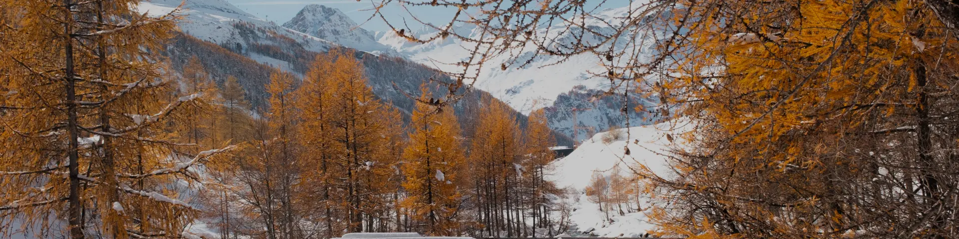 Melezes Oranges A L Automne Au Fornet 24955 Val D Isere Tourisme Elisa Vercueil