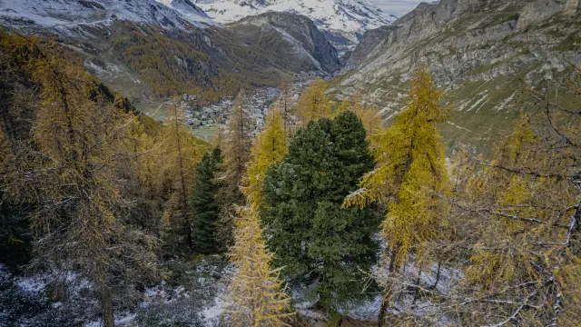 Dji 0011 Hdr