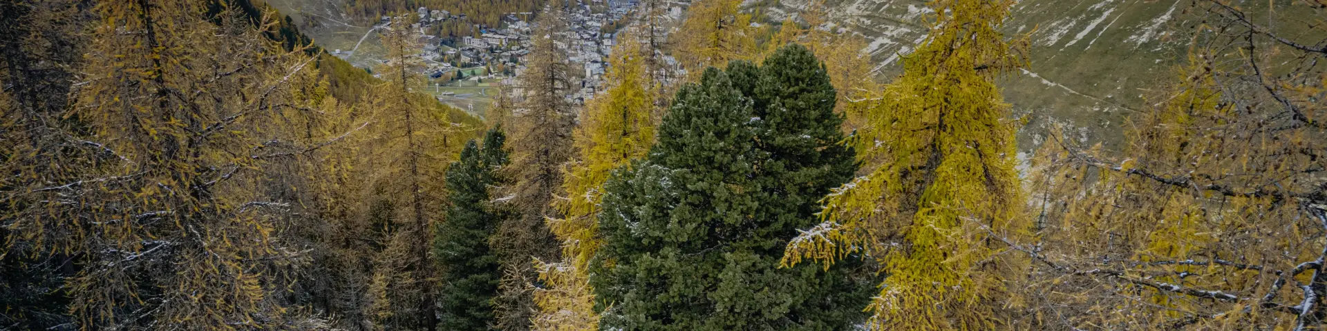 Dji 0011 Hdr