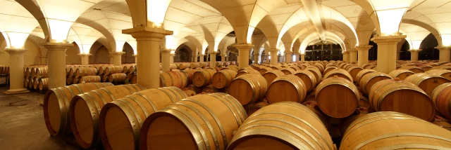 chai-montus-cathdrale-du-tannat-brumont.jpg
