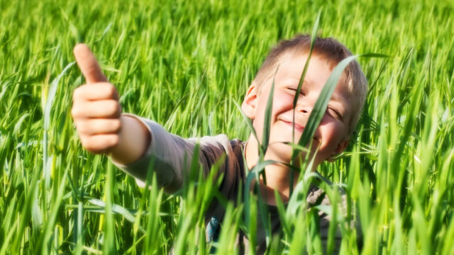 enfant-herbe-t-fotolia.jpg