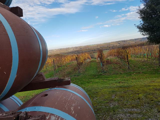 chateau-crouseille-automne-2-mdatola.jpg