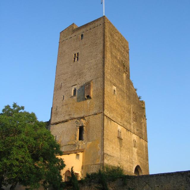 tour-termes-2007-1-mm.jpg