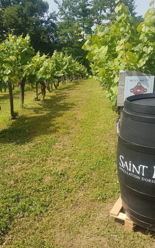 Instagram #saintmont