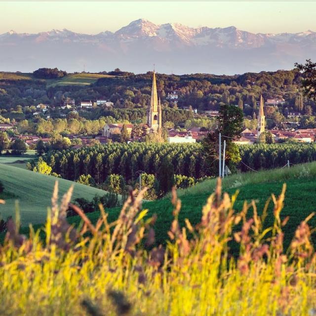 Instagram #marciac
