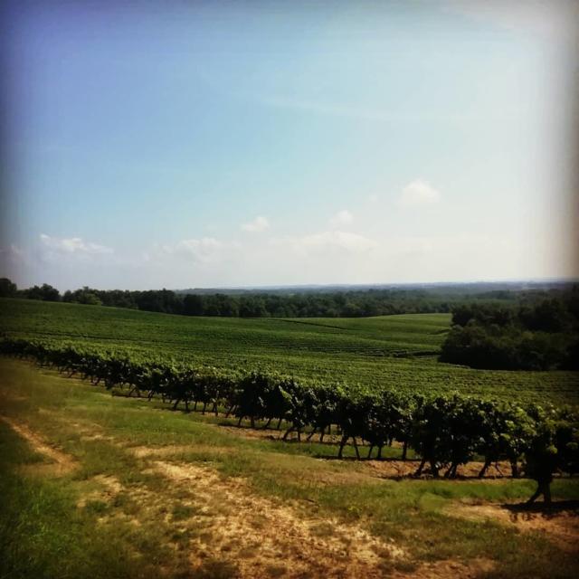Instagram #saintmont
