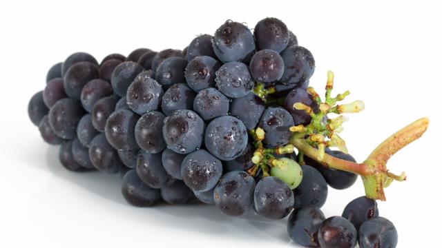 grappe-raisin-rouge-stevepb-pixabay.jpg
