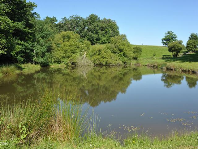 biodiversit-de-ladour-maison-de-leau-1.jpg