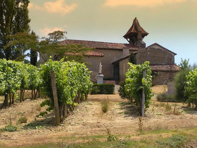 cannet-glise-vigne-j-jourdon.jpg