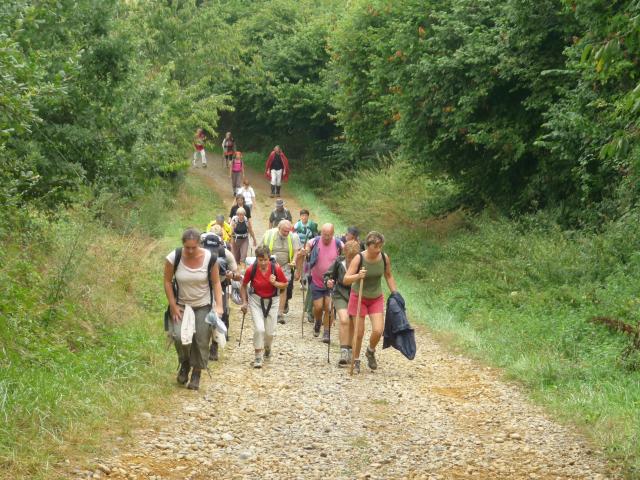 randonnee-accompagnee-groupe-adour-madiran-otpva.jpg