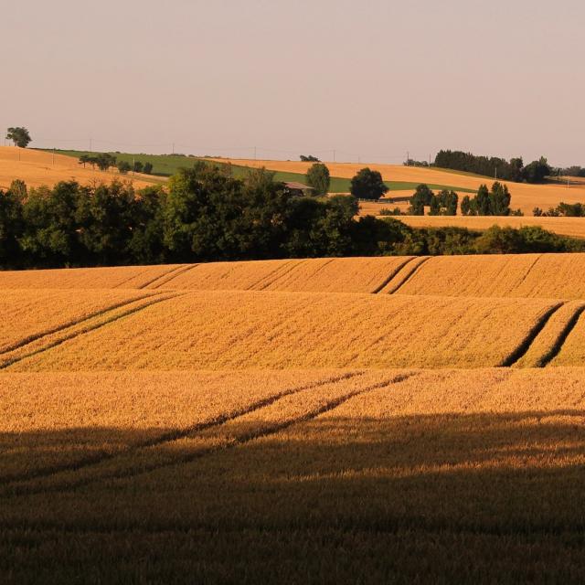 Instagram #coeursudouesttourisme