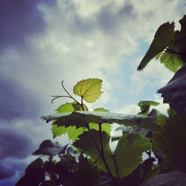 Instagram #coeursudouesttourisme