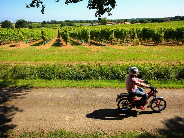 Balade En Mob Et Vignes © Cso