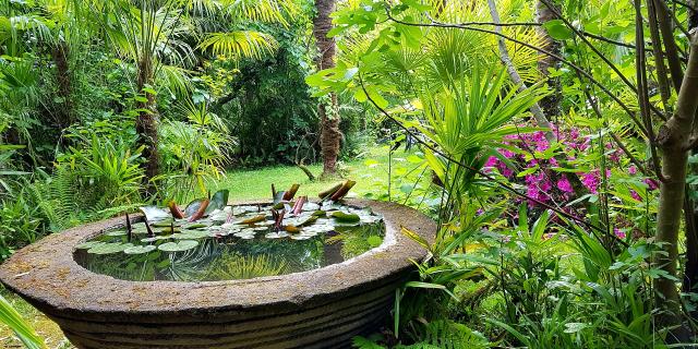 Betous-Palmeraie-4©-Murielle-Datola.jpg