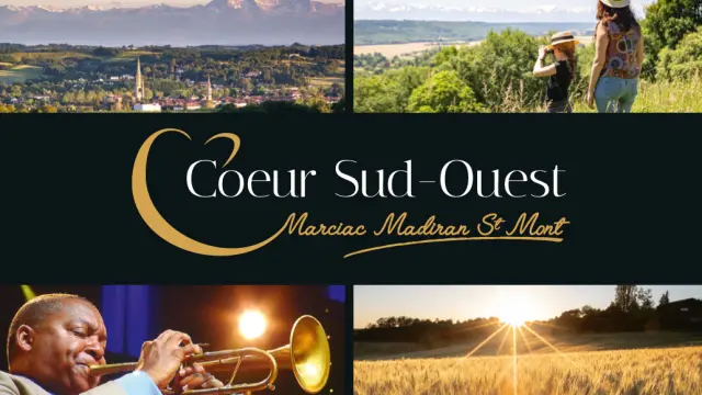 Verso Carte De Visite