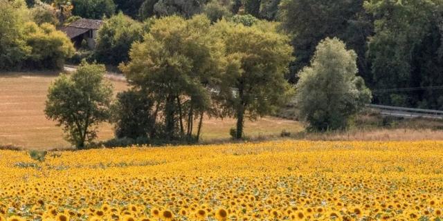Instagram #coeursudouesttourisme