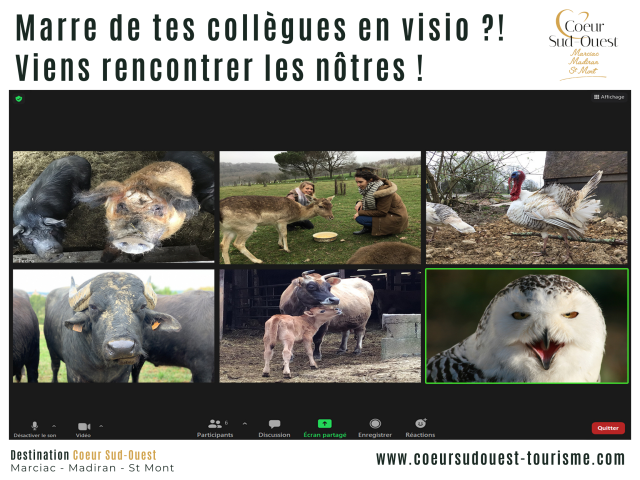 Marre De Tes Collegues En Visio Viens Rencontrer Les Notres