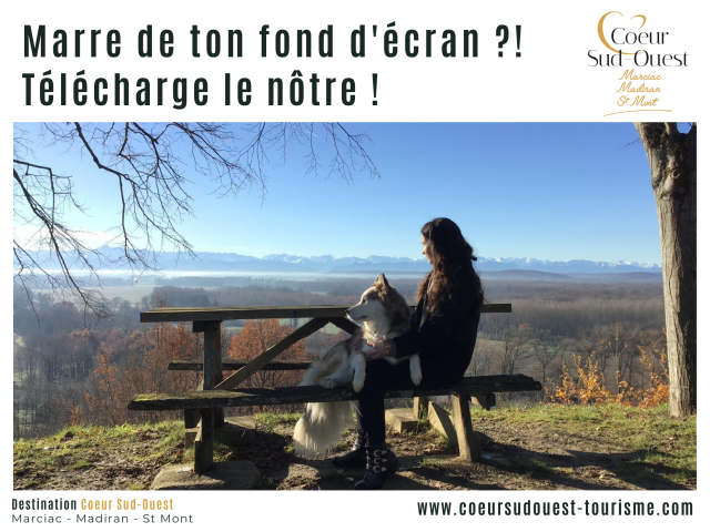 Marre De Ton Fond Decran Telecharge Le Notre