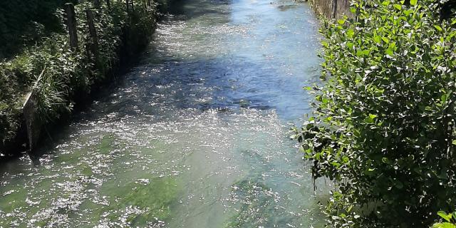 Rabastens-de-Bigorre-canal-CSO-VT.jpg