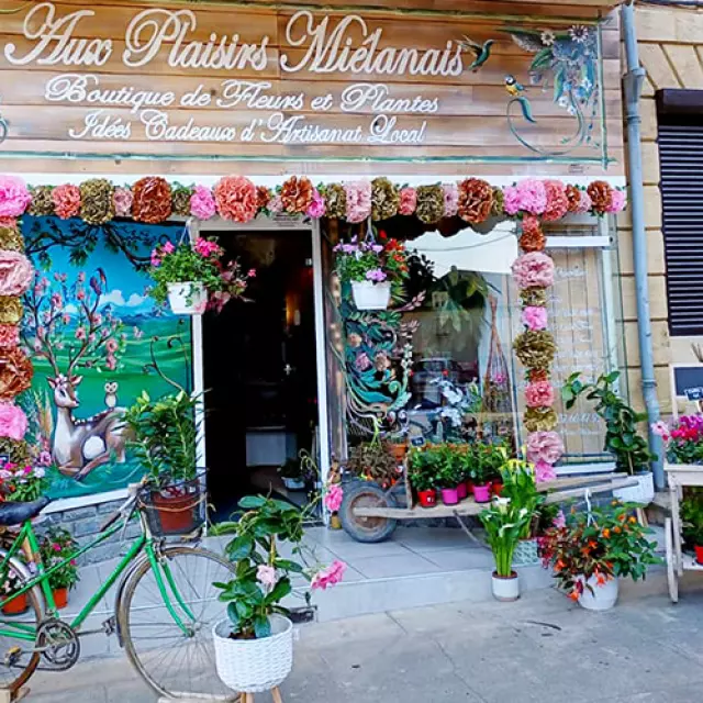 Boutique Aux Plaisirs Mielanais