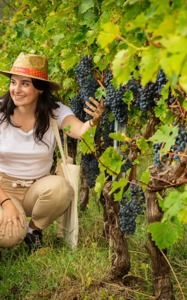 Vigne-visite-6-Collection-Tourisme-Gers-Arnaud-Spani.jpg