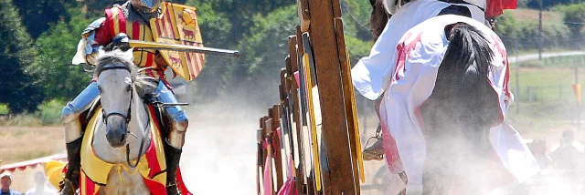 Montaner Medievales Cheval Chateau De Montaner