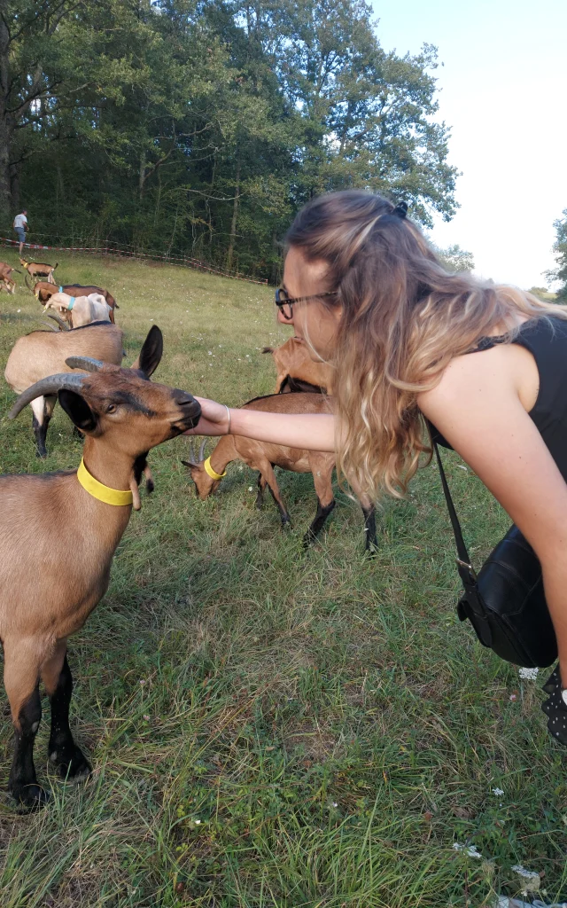 Chevre Qui Rit Cso