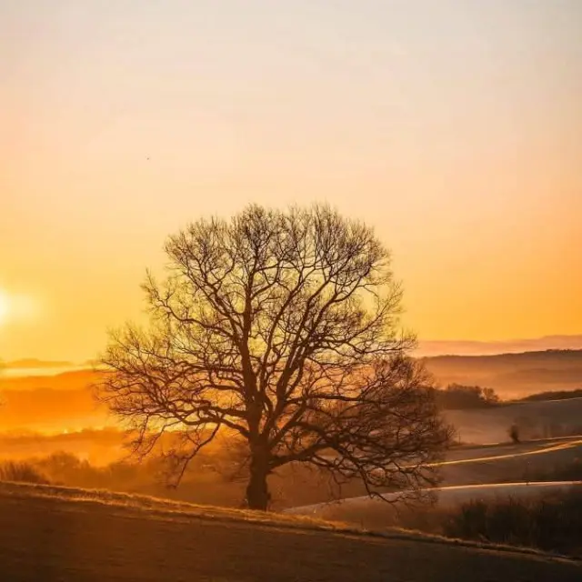 Instagram #exploremongers