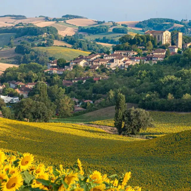 Instagram #exploremongers