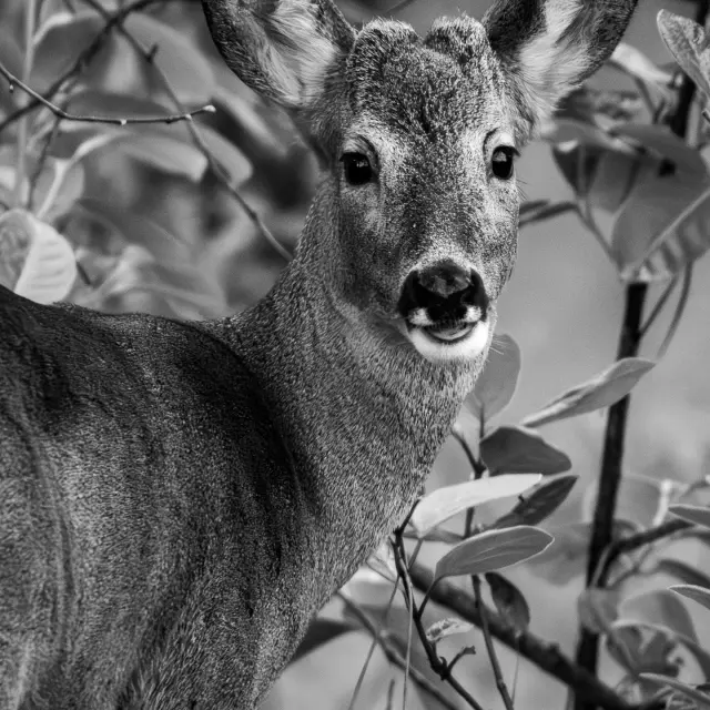 Instagram #exploremongers