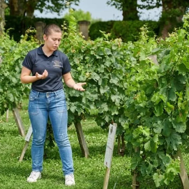 Château Haut Breton Larigaudiere